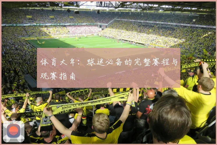 体育大年：球迷必备的完整赛程与观赛指南