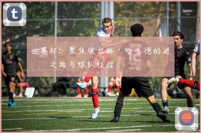 世界杯：聚焦埃尔林·哈兰德的进球之路与球队征程
